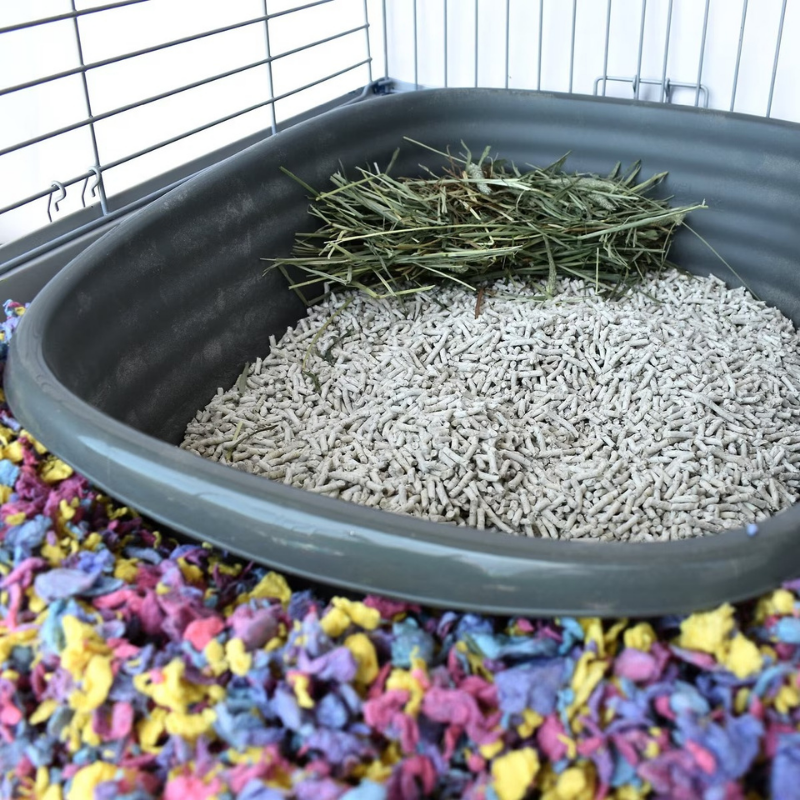 CAREFRESH Small Pets Litter
