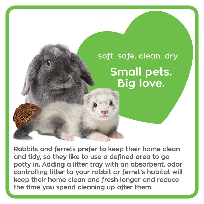 CAREFRESH Small Pets Litter