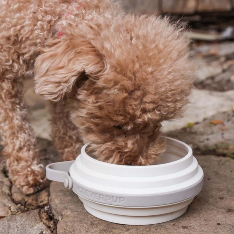 Furville Travel Bowls