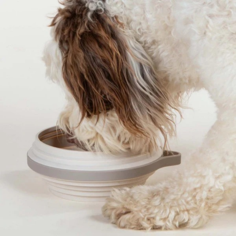 Furville Travel Bowls