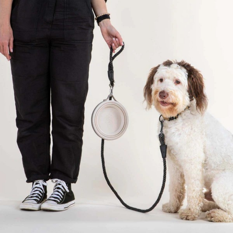 Furville Travel Bowls