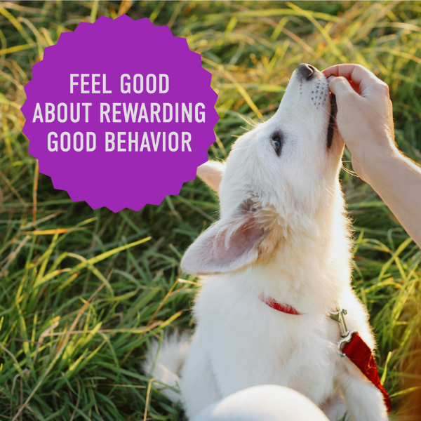 Furville Pet Supplies is local pet shop inb Roxborough that carries health conscious products for pets. Same day delivery and fast shipping is available. 