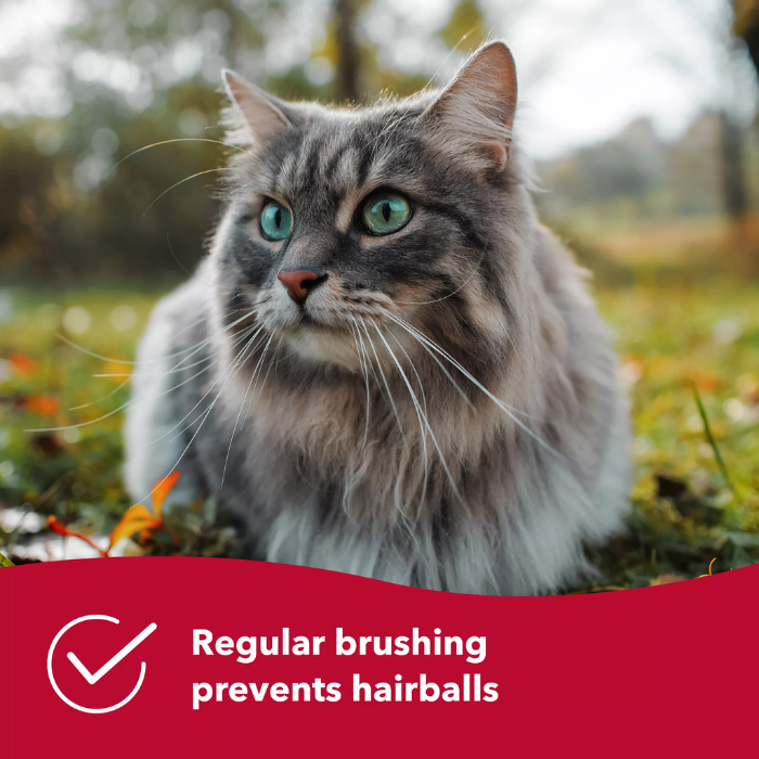 Furville Cat De-shedding comb