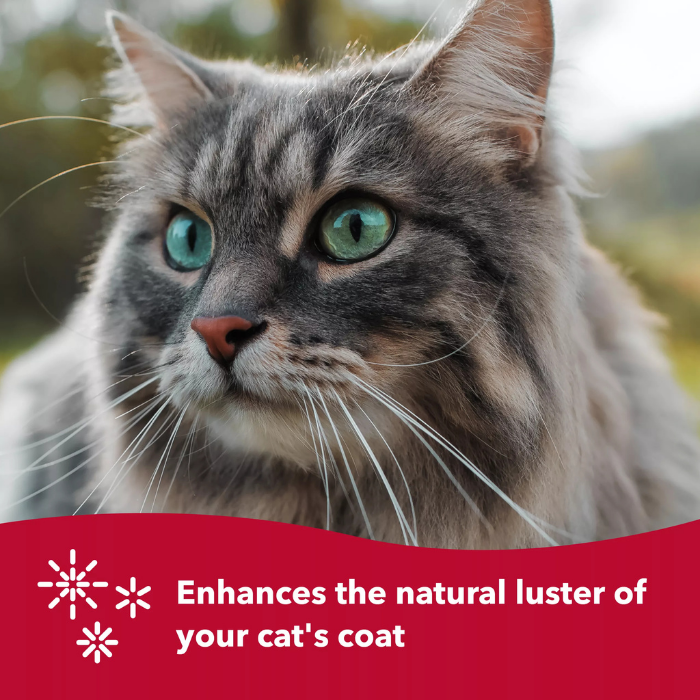 Furville Cat Slicker brushes