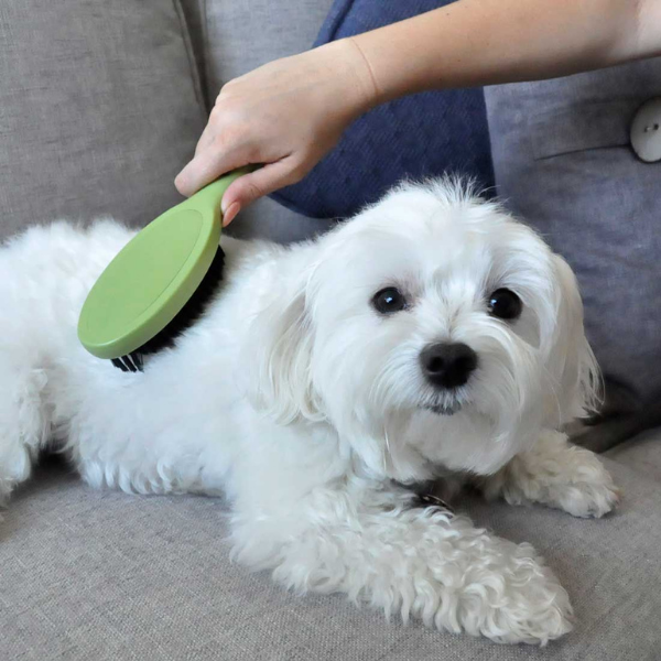 Furville Dog Brush