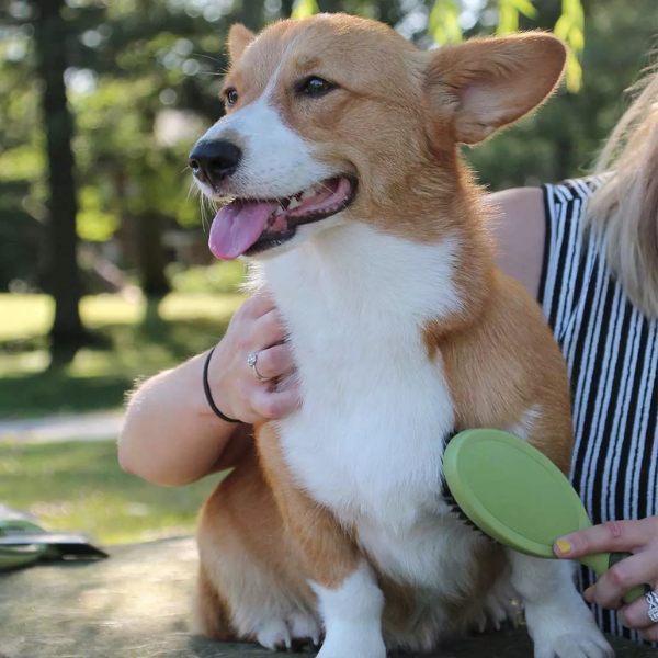 Furville Dog Brush
