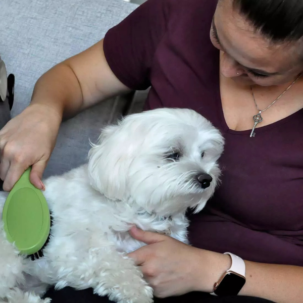Furville Dog Brush