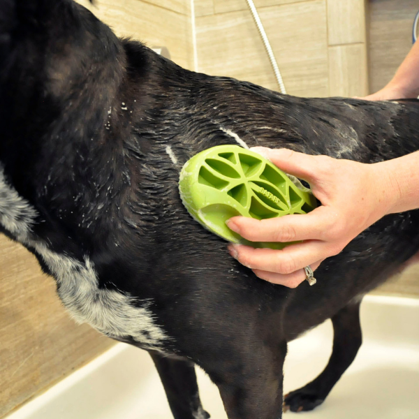 Furville Curry Brush