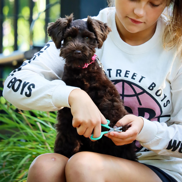 Furville nail Trimmer puppy