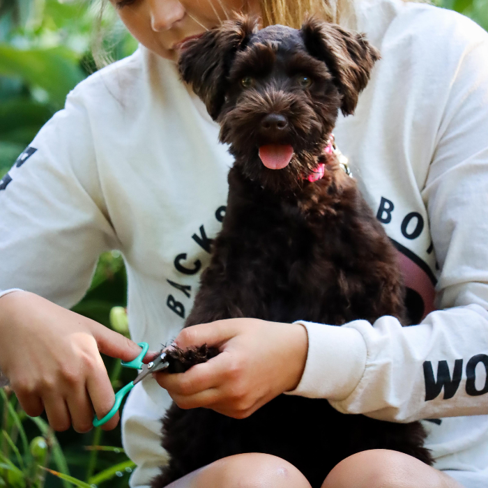 Furville nail Trimmer puppy