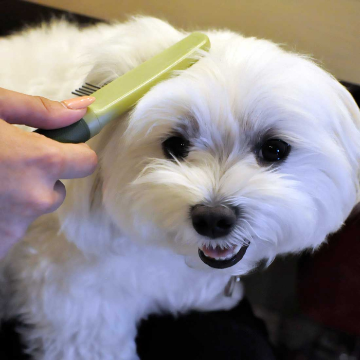 Furville Comb with roating teeth