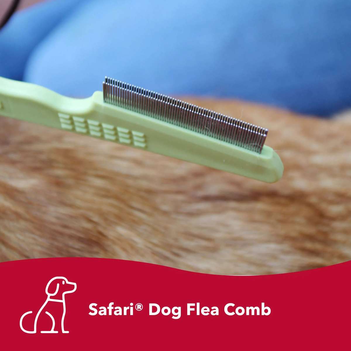 Furville Coastal Flea Comb