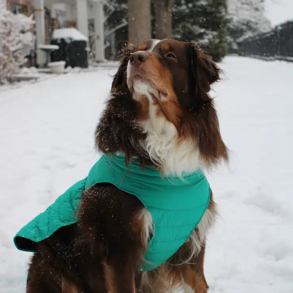 Furville Puffer Jacket