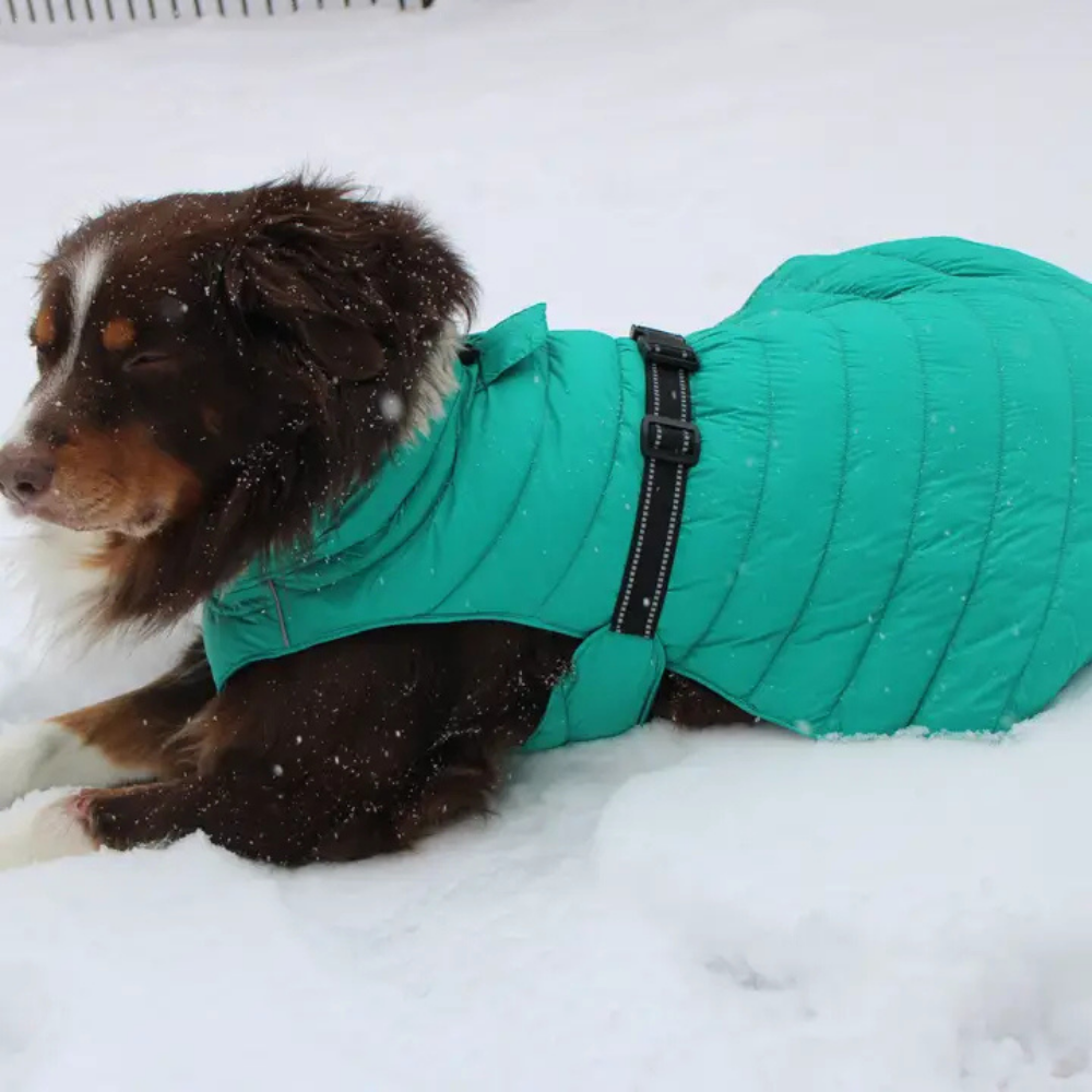 Furville Puffer Jacket