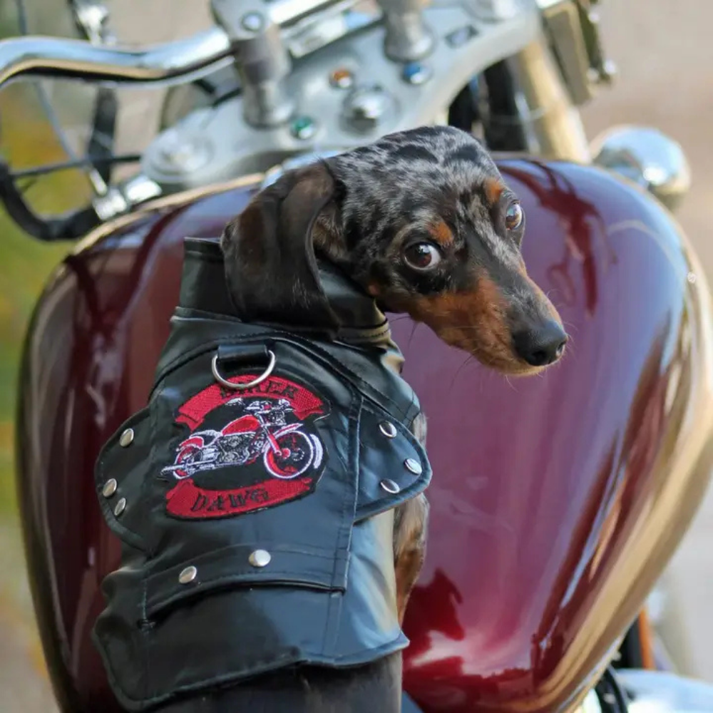 Furville Biker Jacket