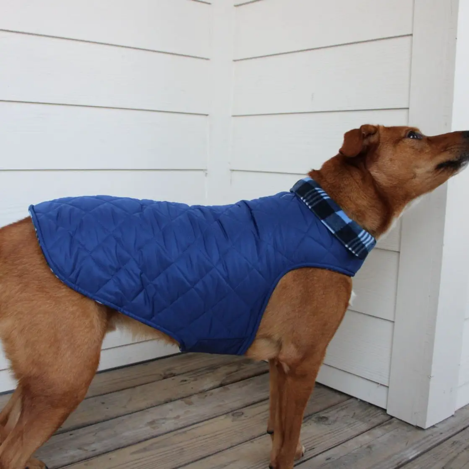 Furville Fleece Lined jackets