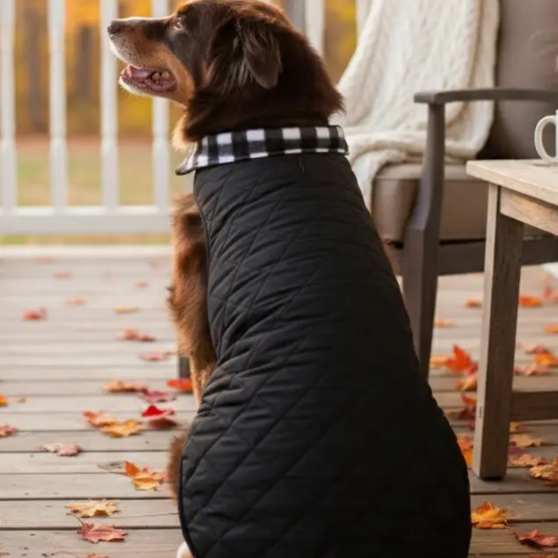 Furville Fleece Lined jackets