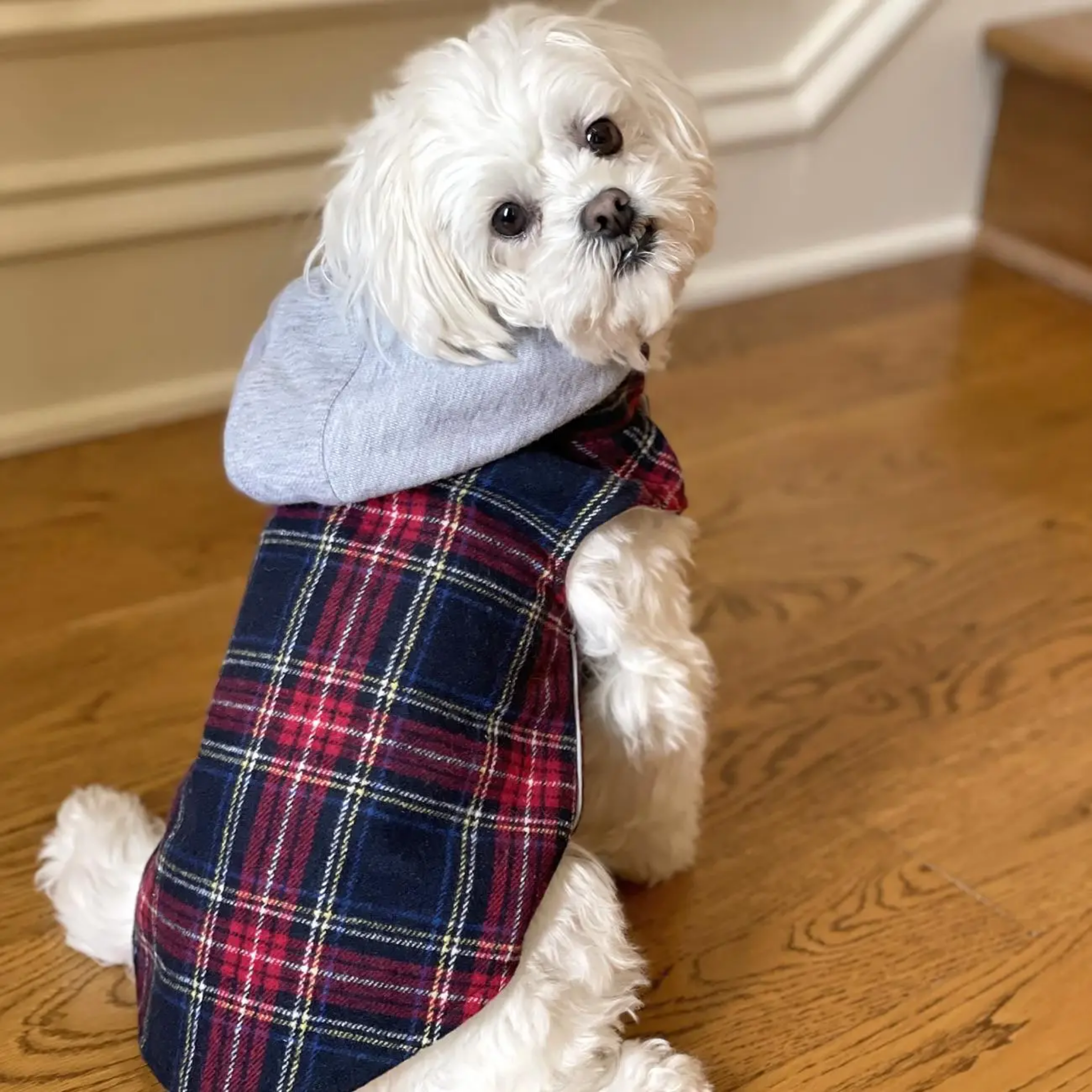 Furville Hoodies