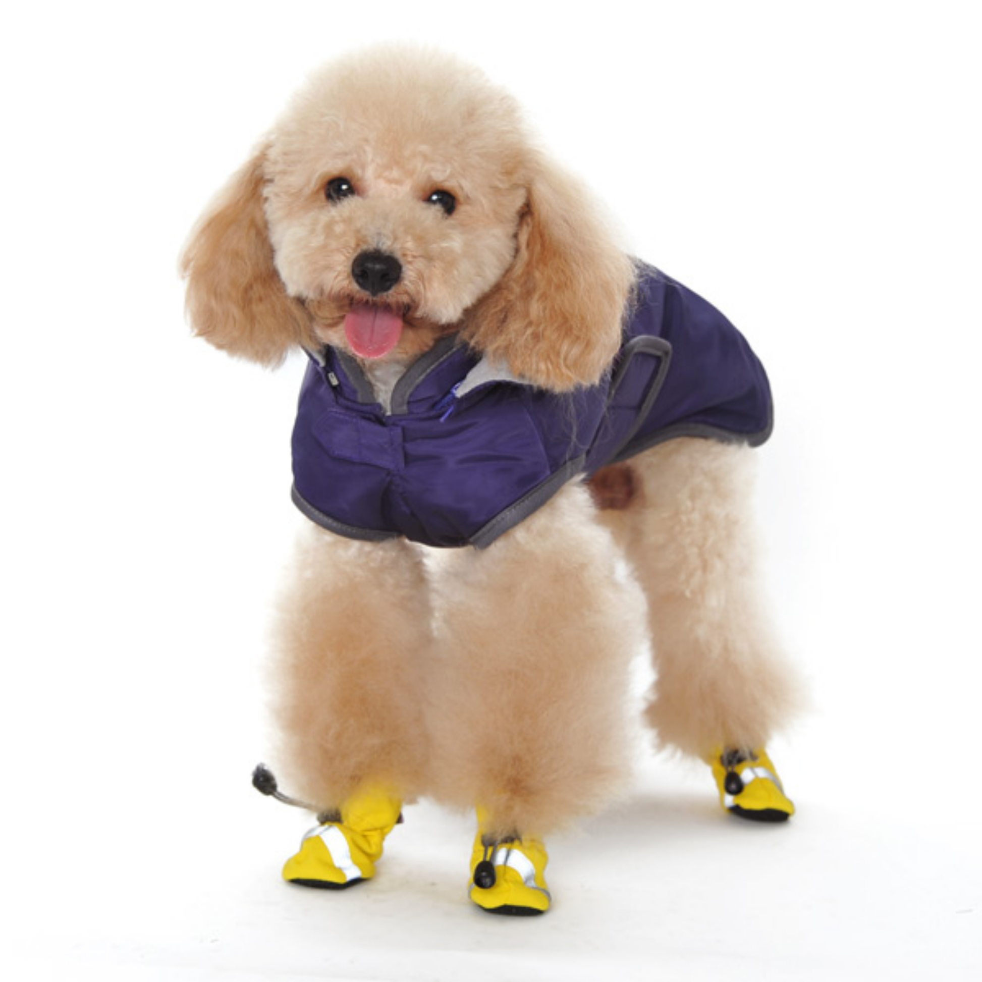 Furville Dog Boots