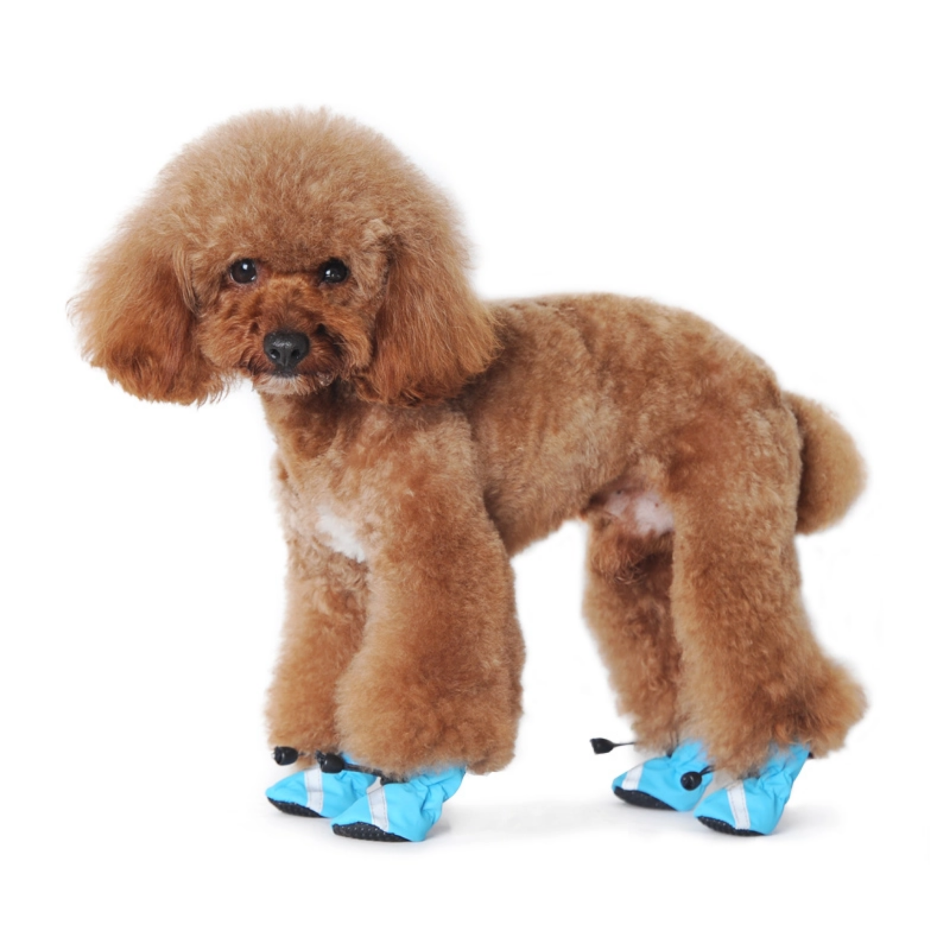 Furville Dog Boots