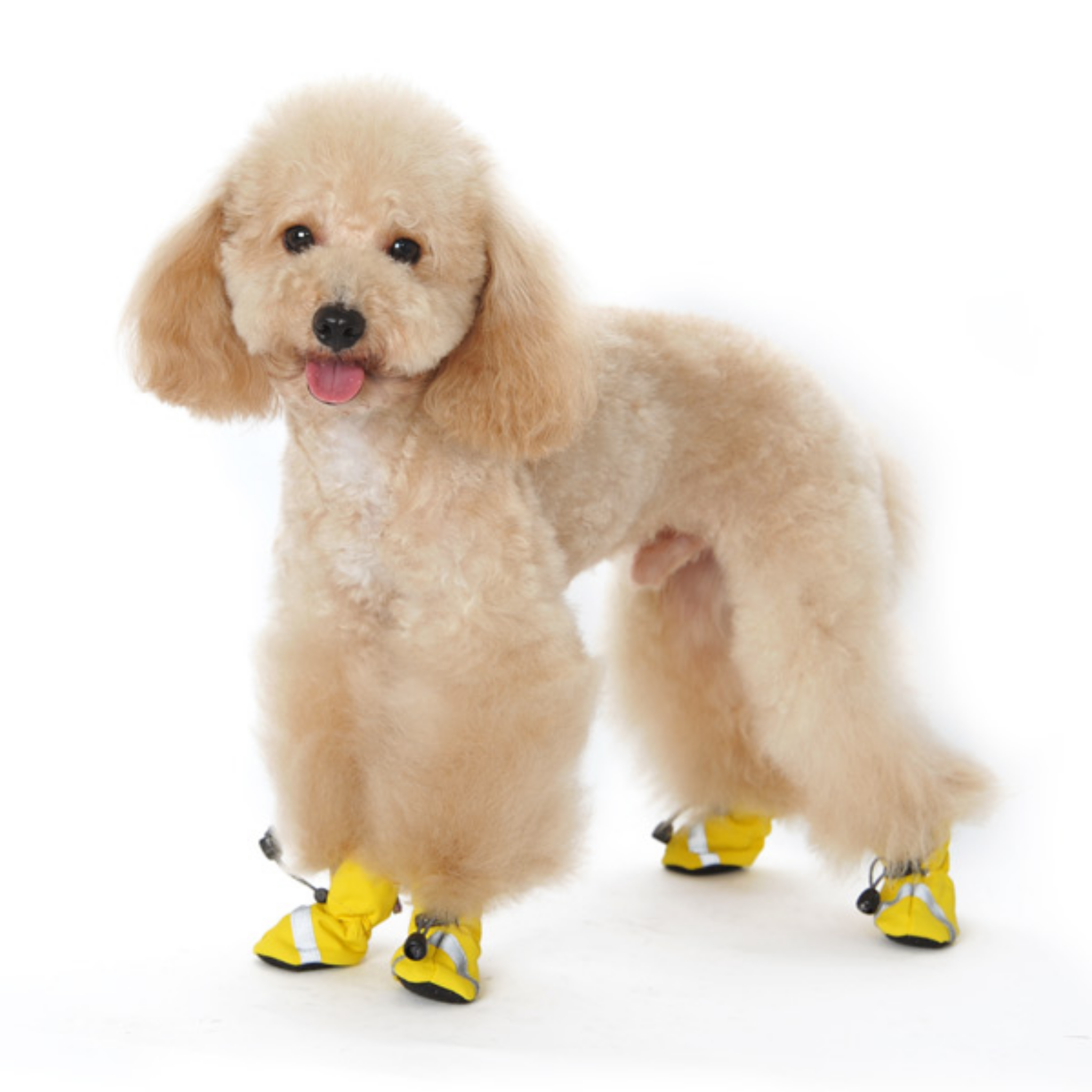 Furville Dog Boots