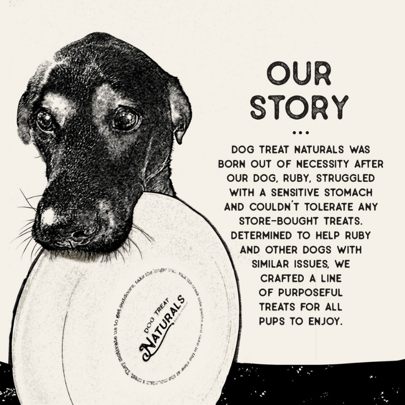 Furville Superfood Treats