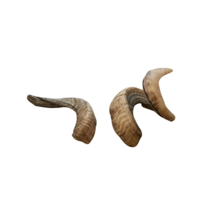 Furville Lamb Horns Super Chewers