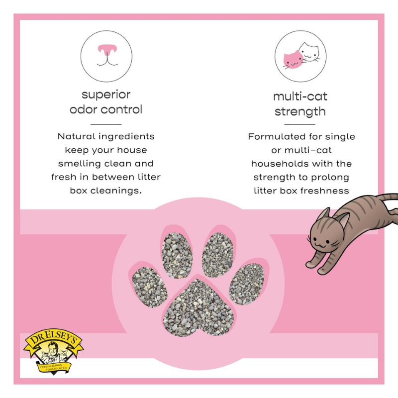 Furville Dr. Elsey's Kitten Attract