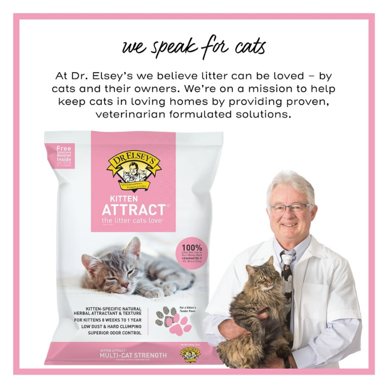 Furville Dr. Elsey's Kitten Attract