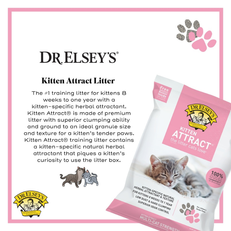 Furville Dr. Elsey's Kitten Attract