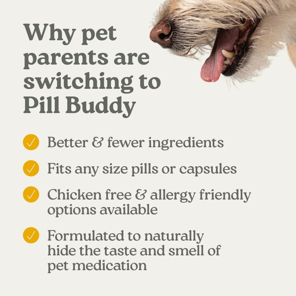 Furville Pill Hider