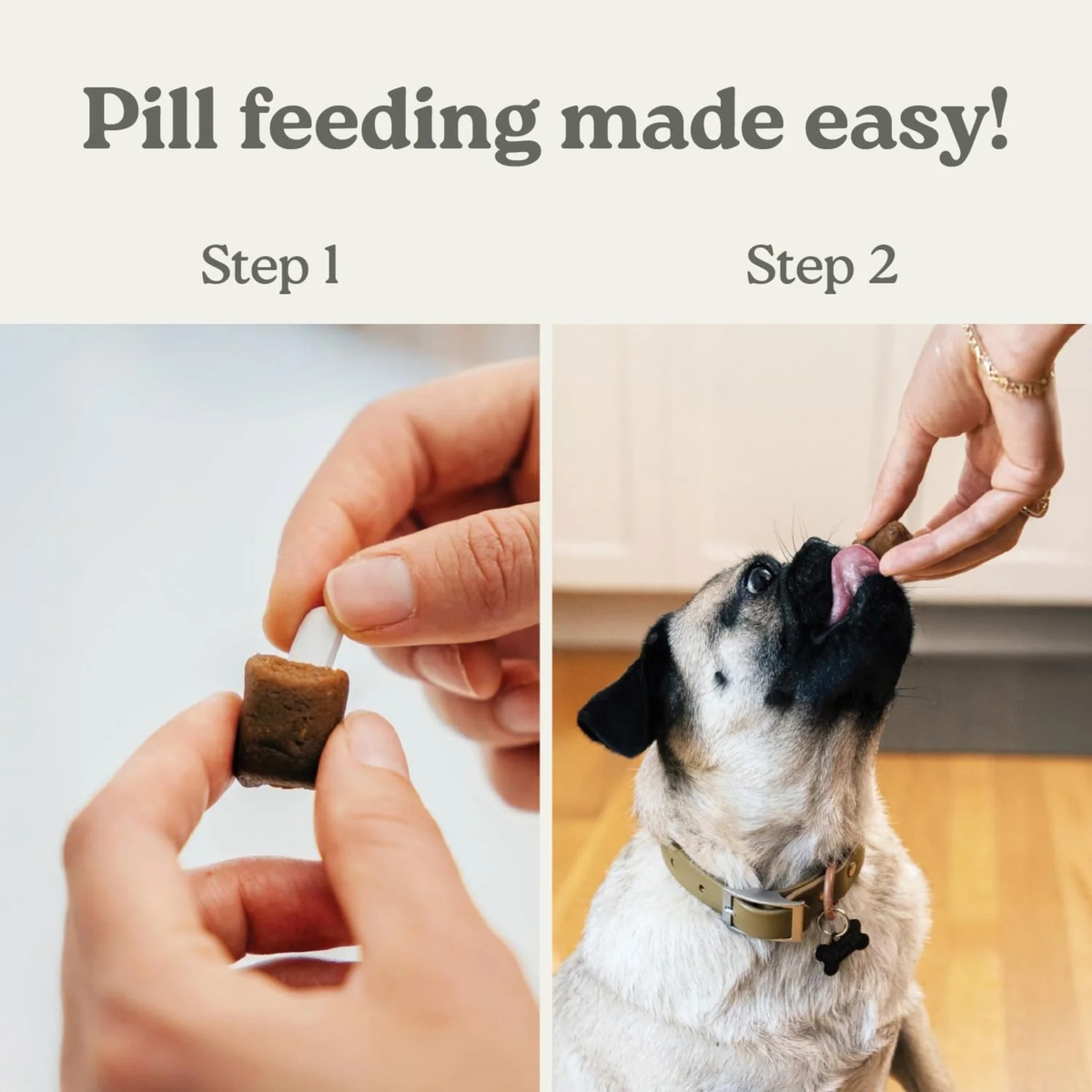 Furville Pill Hider