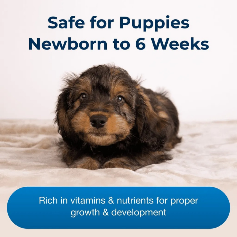 Furville Esbilac Milk Replacer Puppy