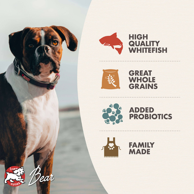 Furville Kibble Dry Food Dog Fromm