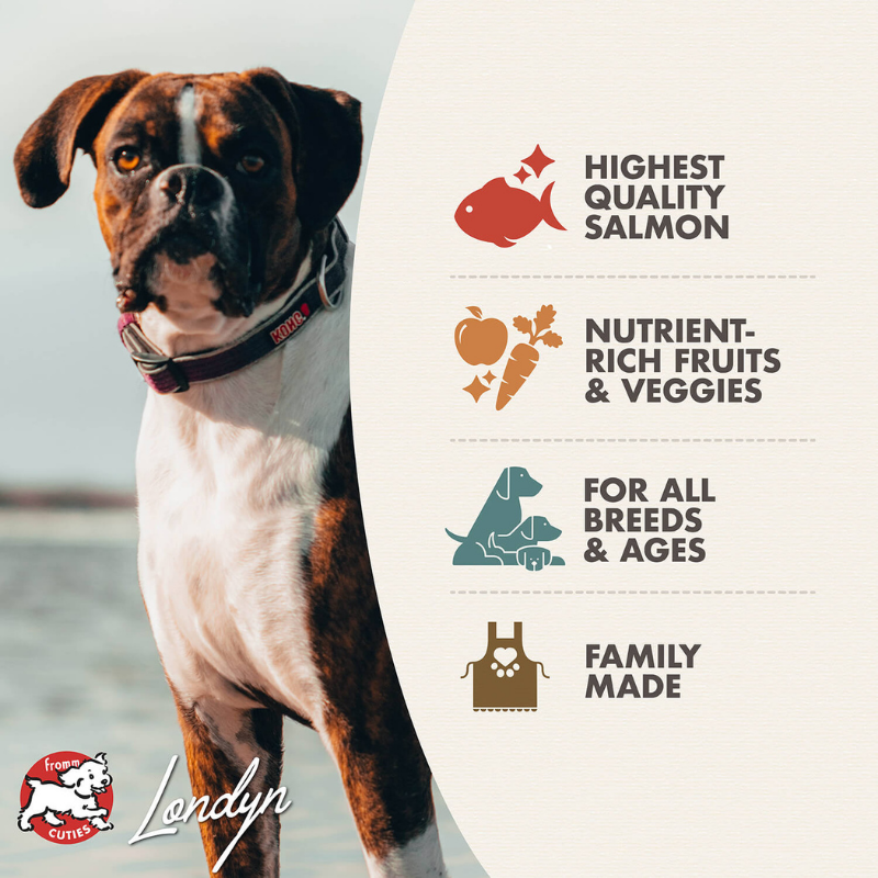 Furville Kibble Dry Food Dog Fromm