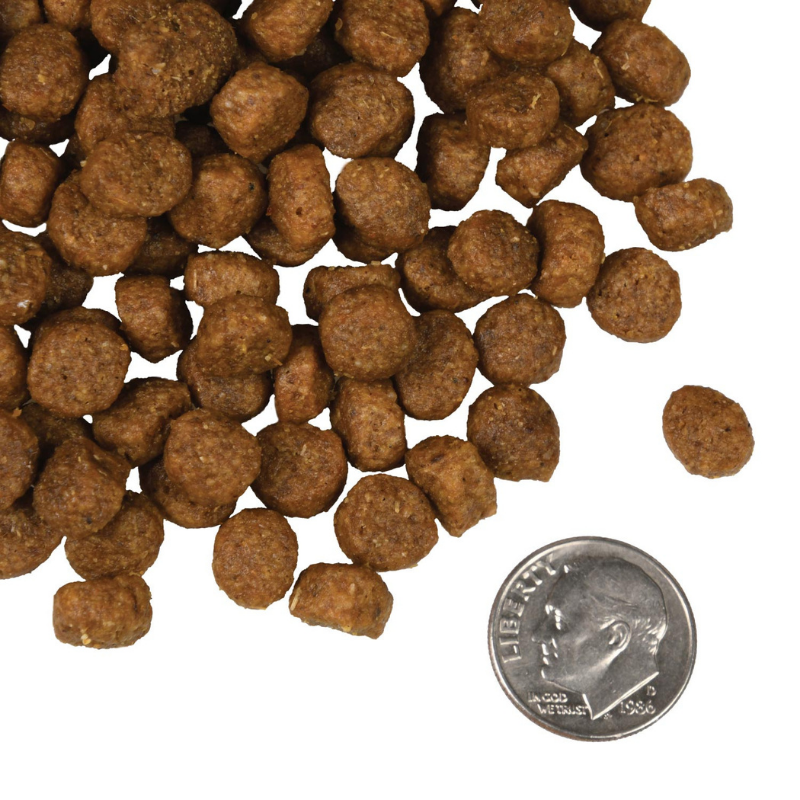 Furville Kibble Dry Food Dog Fromm