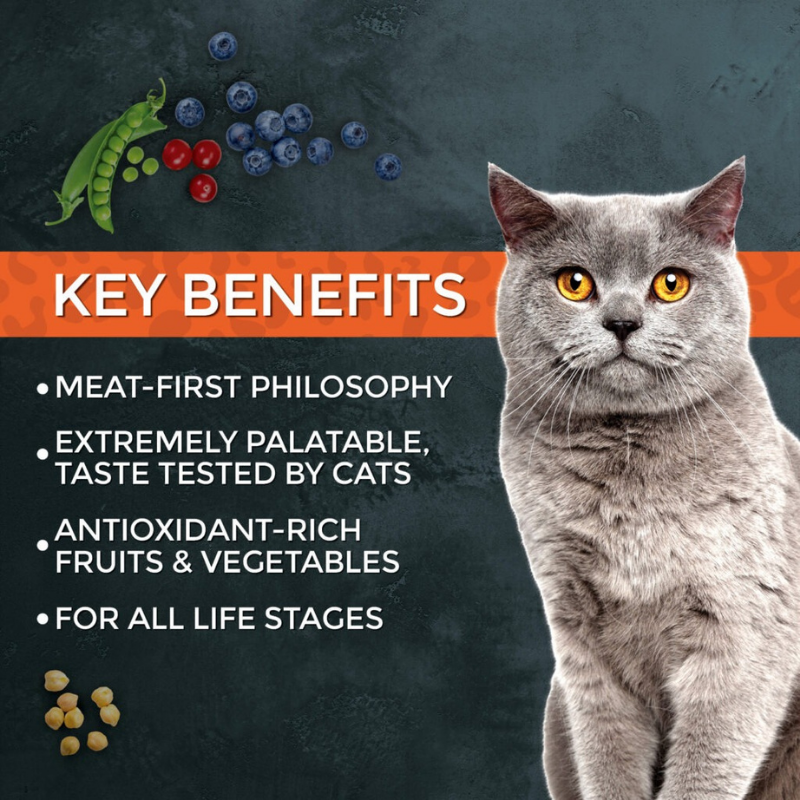 Fussie Cat Turkey Kibble