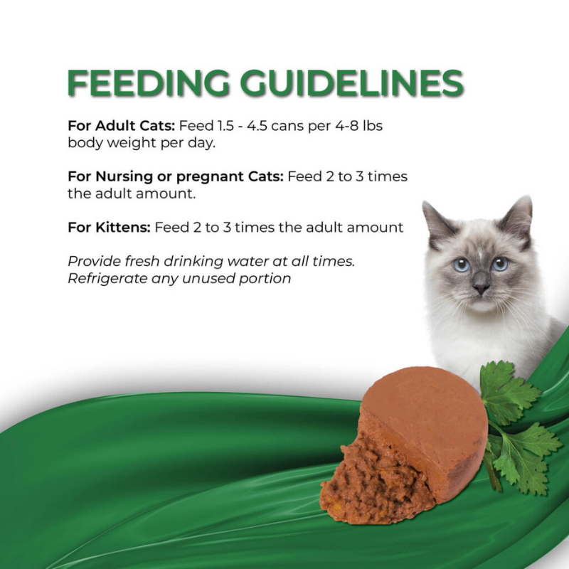 Furville Fussie Cat mousse cat wet food
