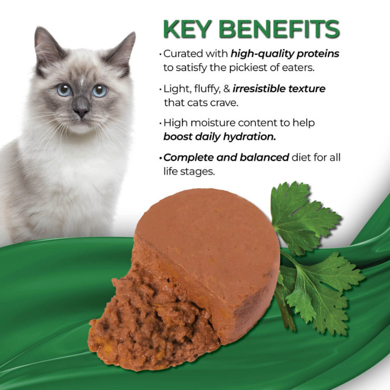 Furville Fussie Cat mousse cat wet food