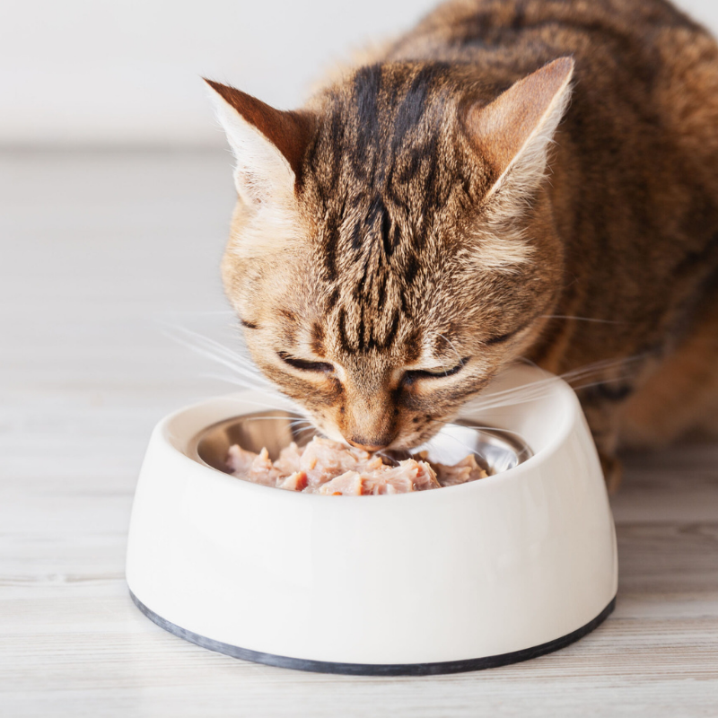 Furville Fussie Cat Wet Food Aspic