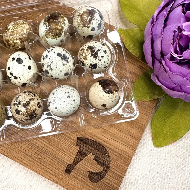 Freeze Dried Quail Eggs Treat for Dogs and Cats