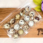 Freeze Dried Quail Eggs Treat for Dogs and Cats