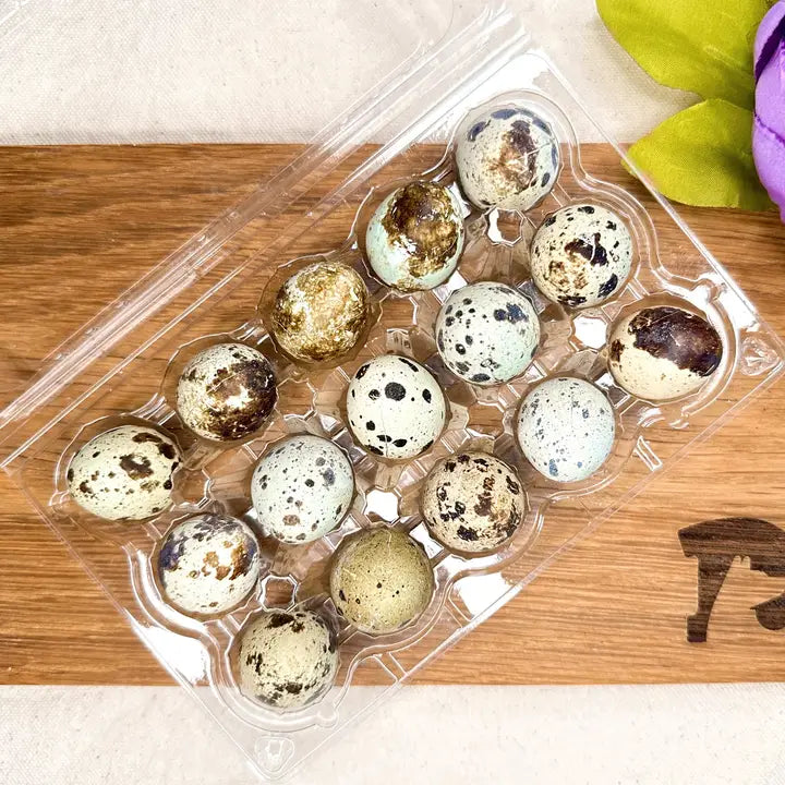 Freeze Dried Quail Eggs Treat for Dogs and Cats