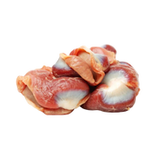 RAWR Dog - Frozen Turkey Gizzard