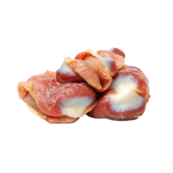 RAWR Dog - Frozen Turkey Gizzard