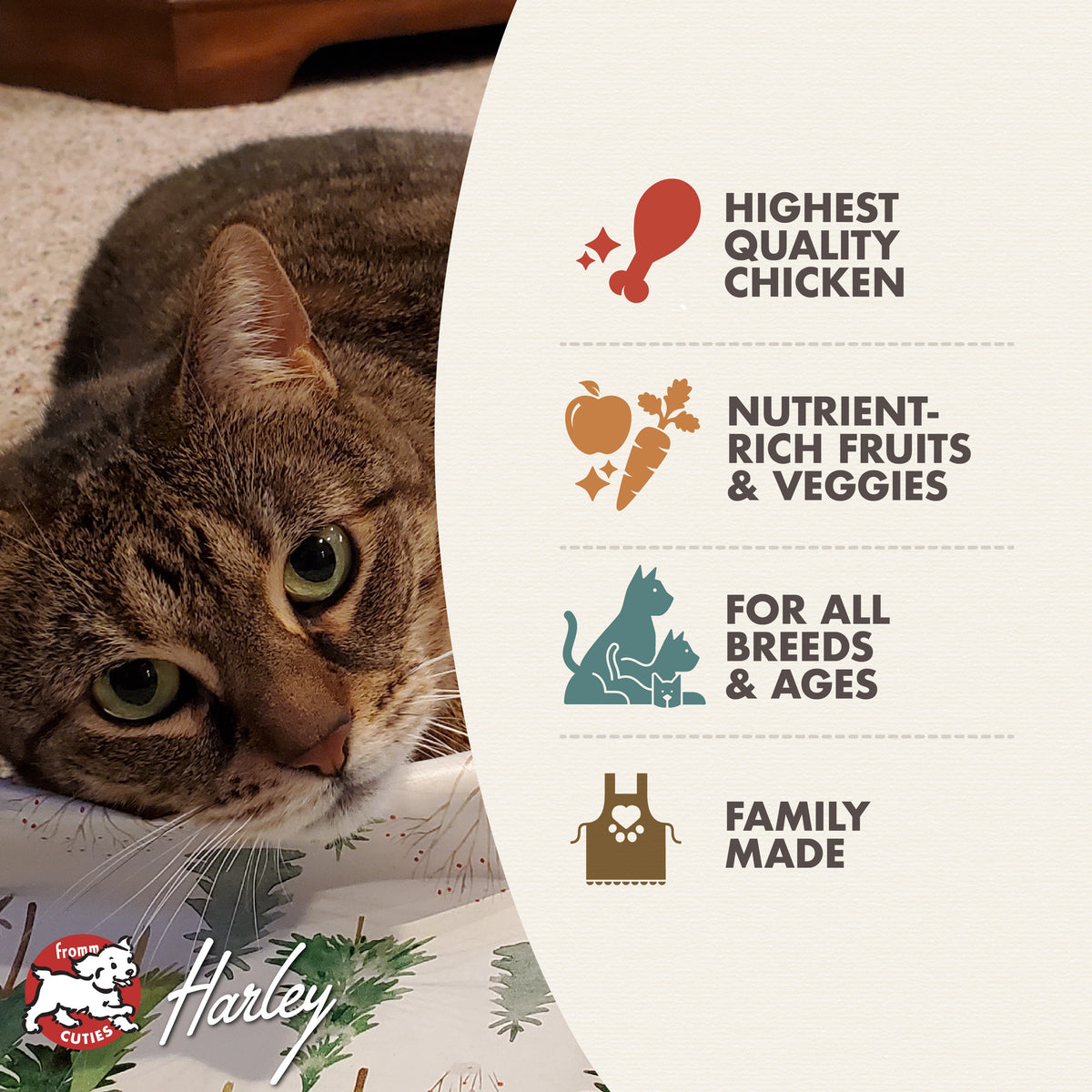 FROMM Cat -  4Star Grain Free Chicken Aufrommage - Dry Food