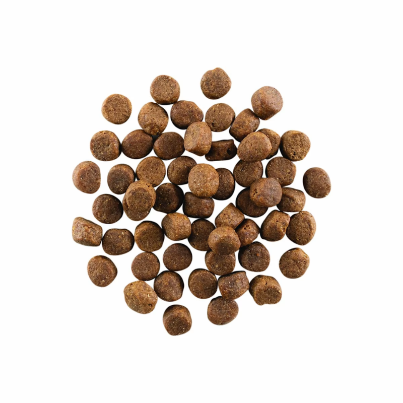 Furville Dog Kibble Go Solutions