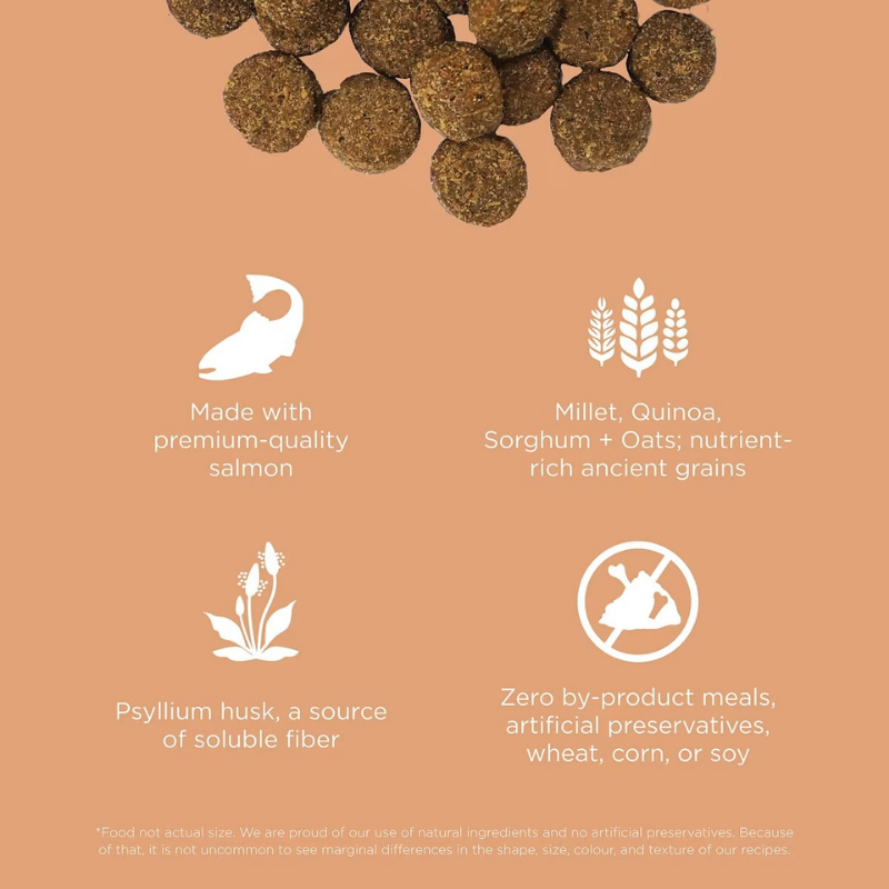 Furville Gut Digestion Kibble