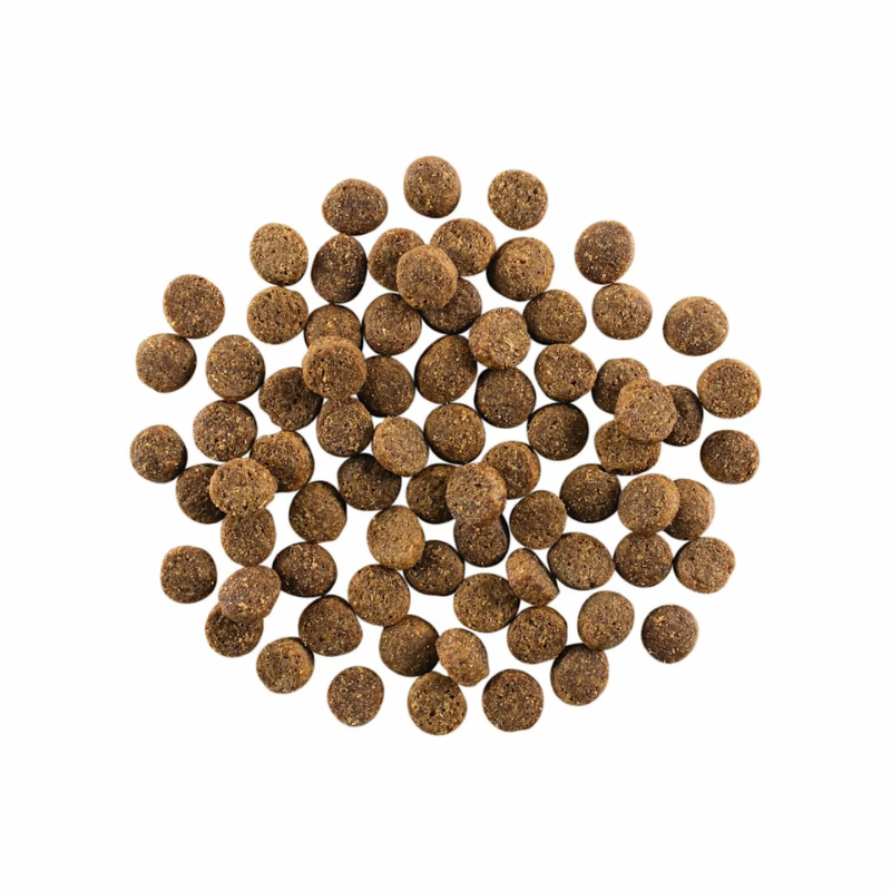 Furville Dog Kibble Go Solutions