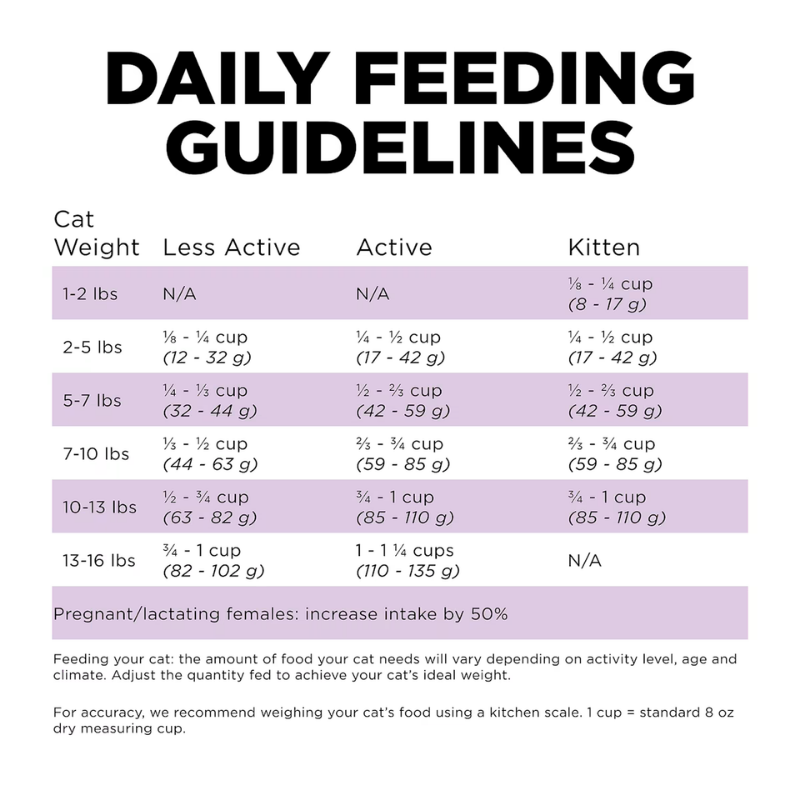 Furville CAT Kibble Go Solutions